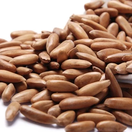 Free Samples Pine Nut Peeling Shell Cedar Pine Nut