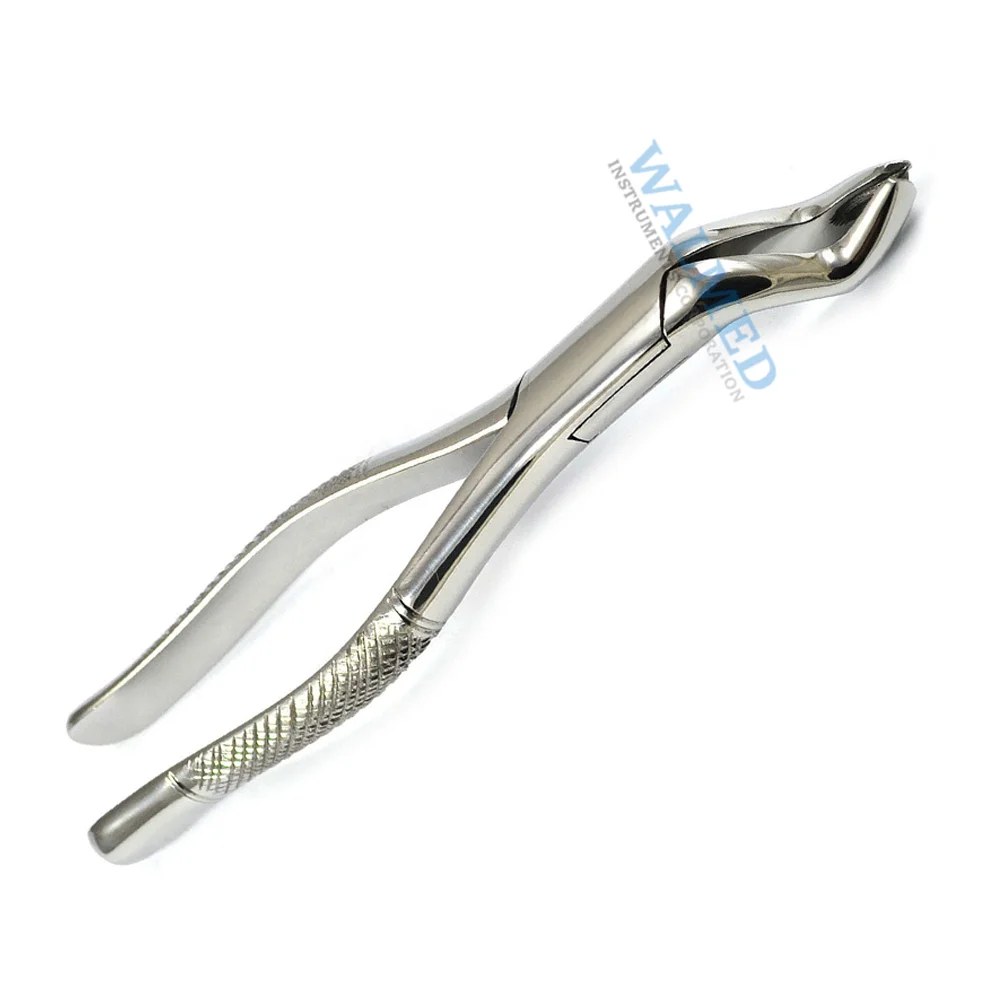 
Stainless Steel Dental Extracting Forceps For Sale / Dental Extracting Forceps 