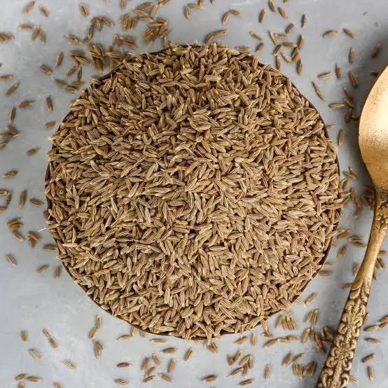 
COMINHO / KOMIJN / KAMMUN / SPISKUMMIN / COMINO DI CUMIN Seeds India 