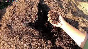 Дешевые экспортные кофейные капсулы/жасмин + 84 896679047