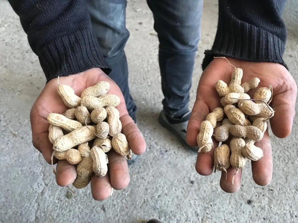 MDT Product production - Green Tech Ferro Mix - EC Fertilizer  - Liquid Fertilizer  - Fertilizer Solution With Iron Content