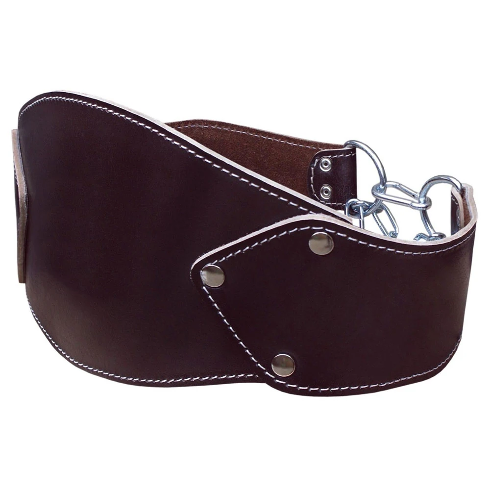 Premium Dip Belt with Chain - Weight Belt with Chain for Weightlifting Pullups and Dips High Comfort Leather Dip Belt