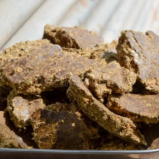 
Cotton Seed Oil Cake 