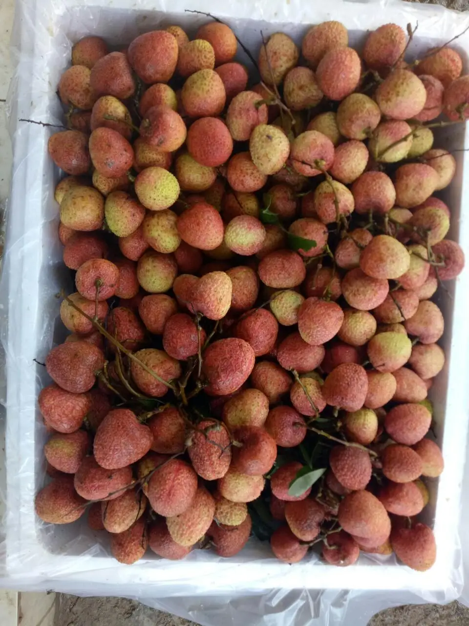  Сырье личи для высококачественного консервированного номер 1 во Вьетнаме