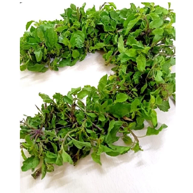 TULASI temple GARLANDS Fresh look Decorative Flowers Garland Medium & Large Size Fresh Flowers Temple Garlands