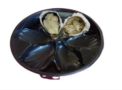 disposable fresh plastic oyster tray in food grade