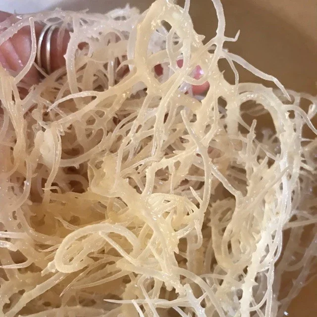  Органический ирландский Мох/морской мох по конкурентоспособным ценам для оптовиков/г-жа Май + 84 904 183 651