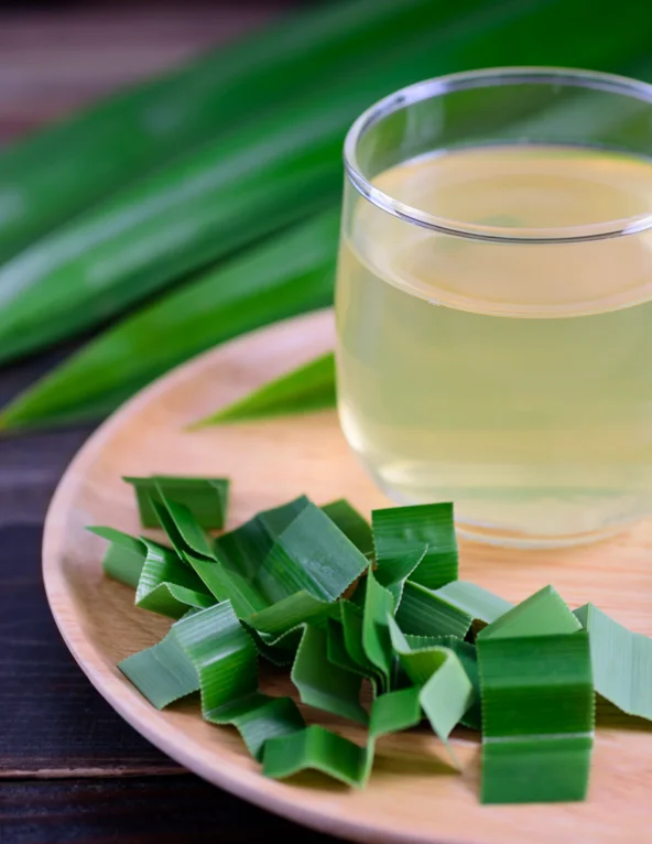 (Органический) Порошок Листьев пандана (1000 г) тайский травяной экстракт-Оптовая продажа-Индивидуальный размер упаковки и дизайна (продукт из Таиланда)