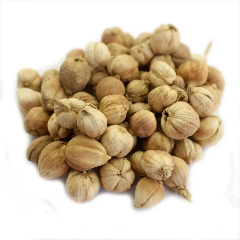 Хит продаж 100% белый кардамон для приготовления пищи от вьетнамских экспортеров кардамонов высокое качество натуральный