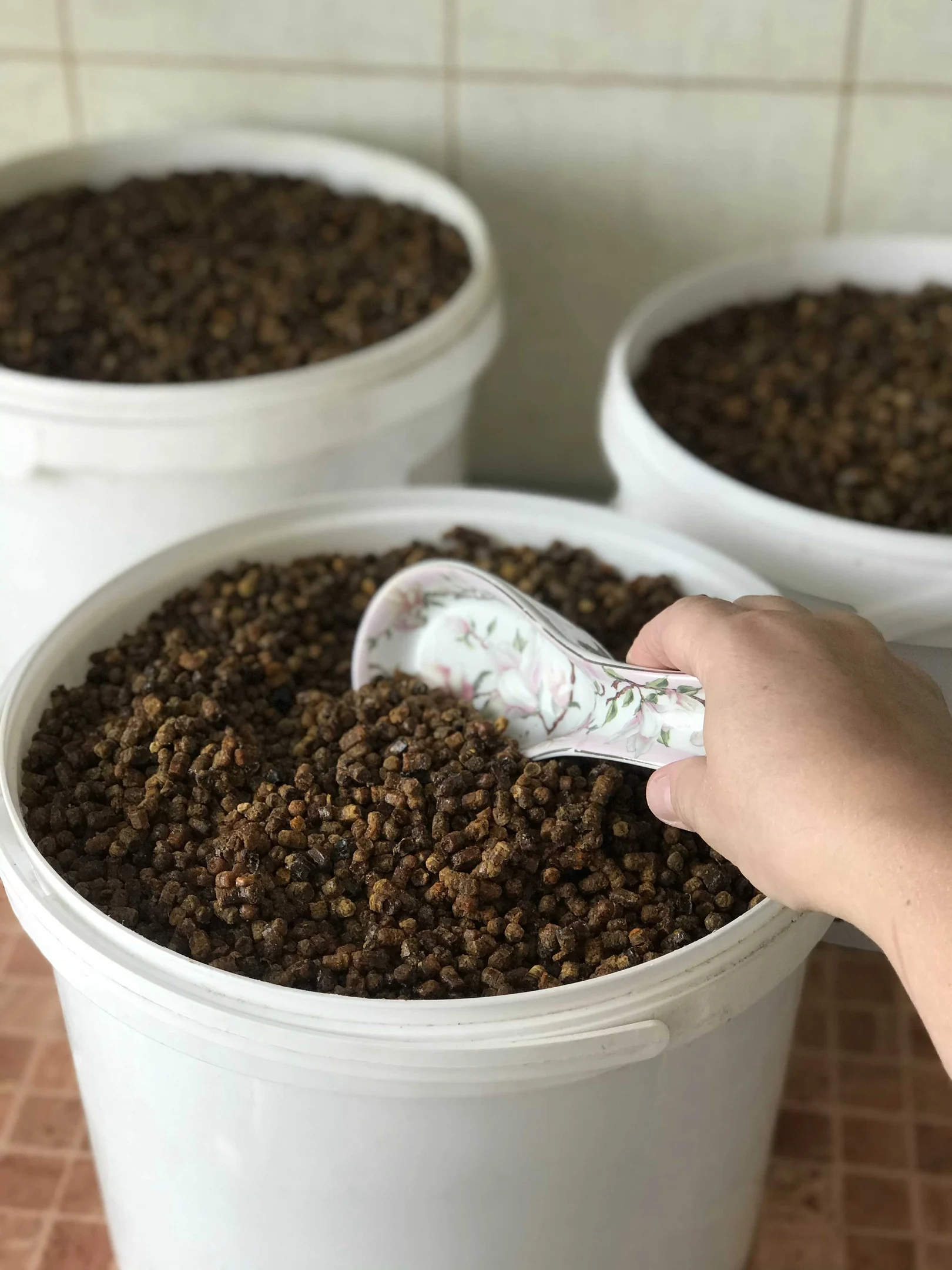 100% натуральный продукт «подарки из Сибири», 70 г, упаковка, гранулированный пчелиный хлеб амброзии перги