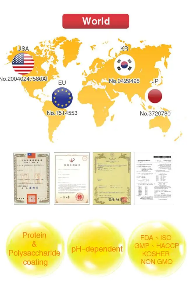 
Lyflor-3 High Potency 50 Billion CFU 12 strains probiotic powder for Improve Digestive Health 