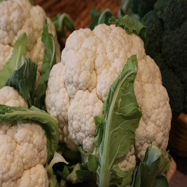 Fresh Green Cauliflower High Quality