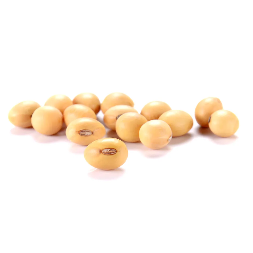 
Russian wholesale soybeans, agriculture product 