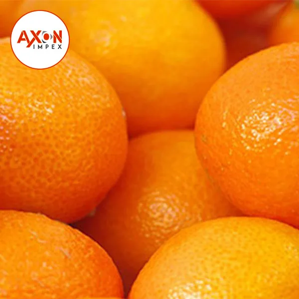 
Pakistani mandarin orange Fresh Oranges /Fresh Mandarin Oranges 