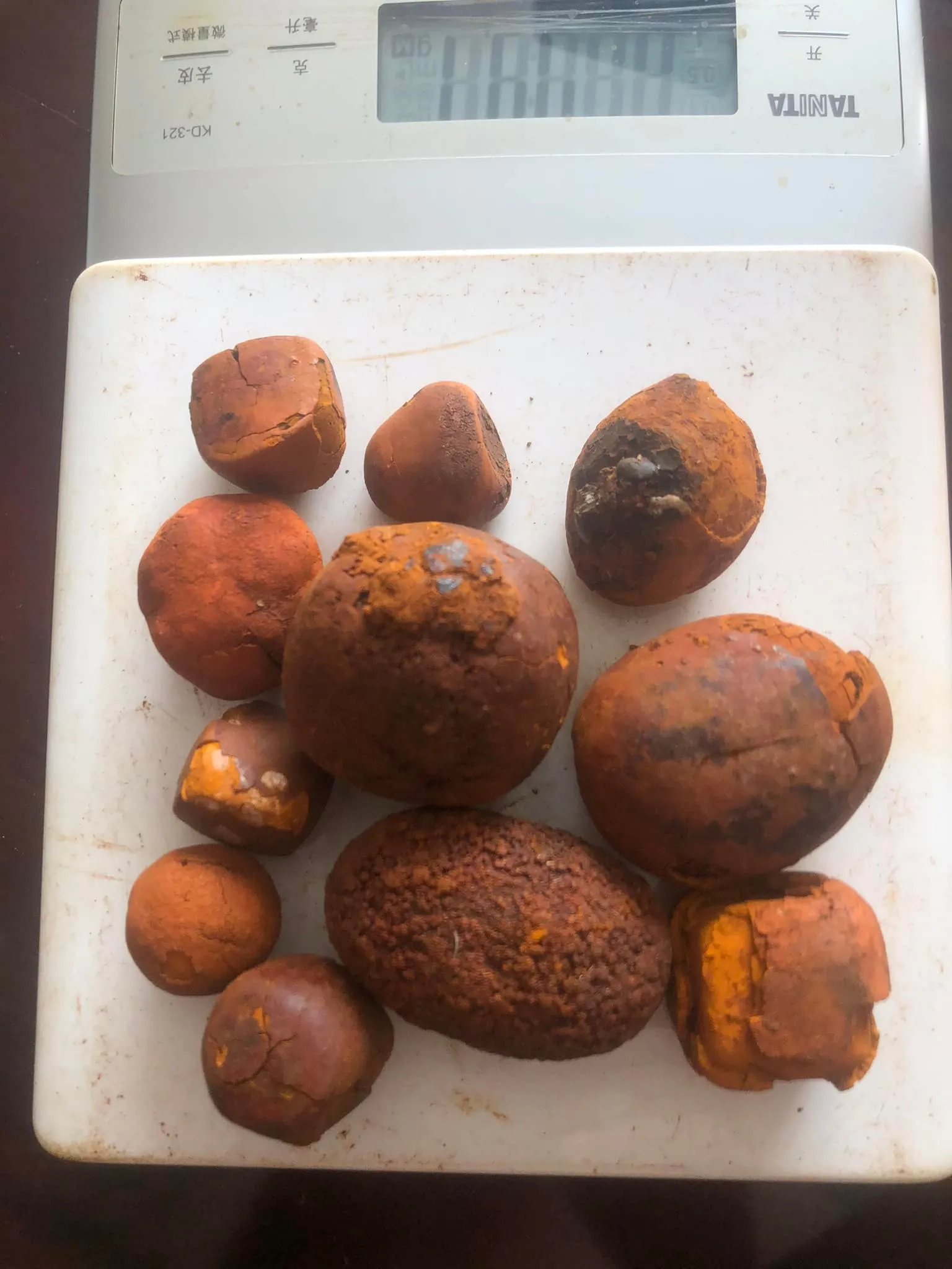 Quality Dried Cow Ox Gallstones / Cattle gallstones