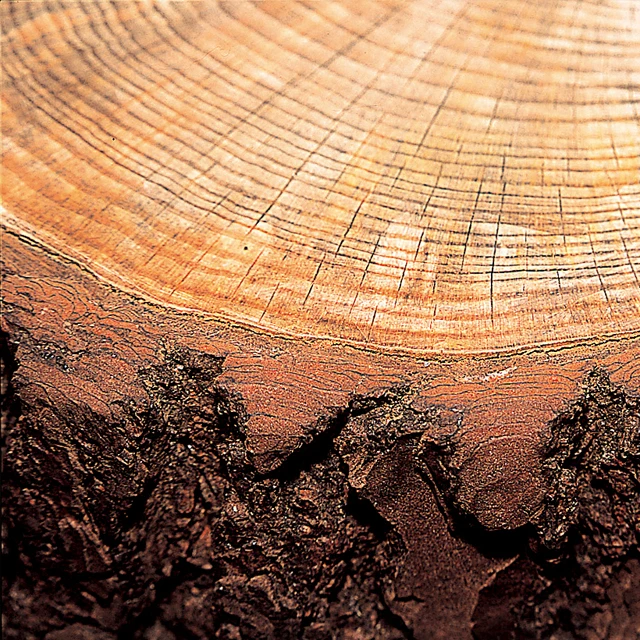 pine bark plant extract Flavangenol(R)