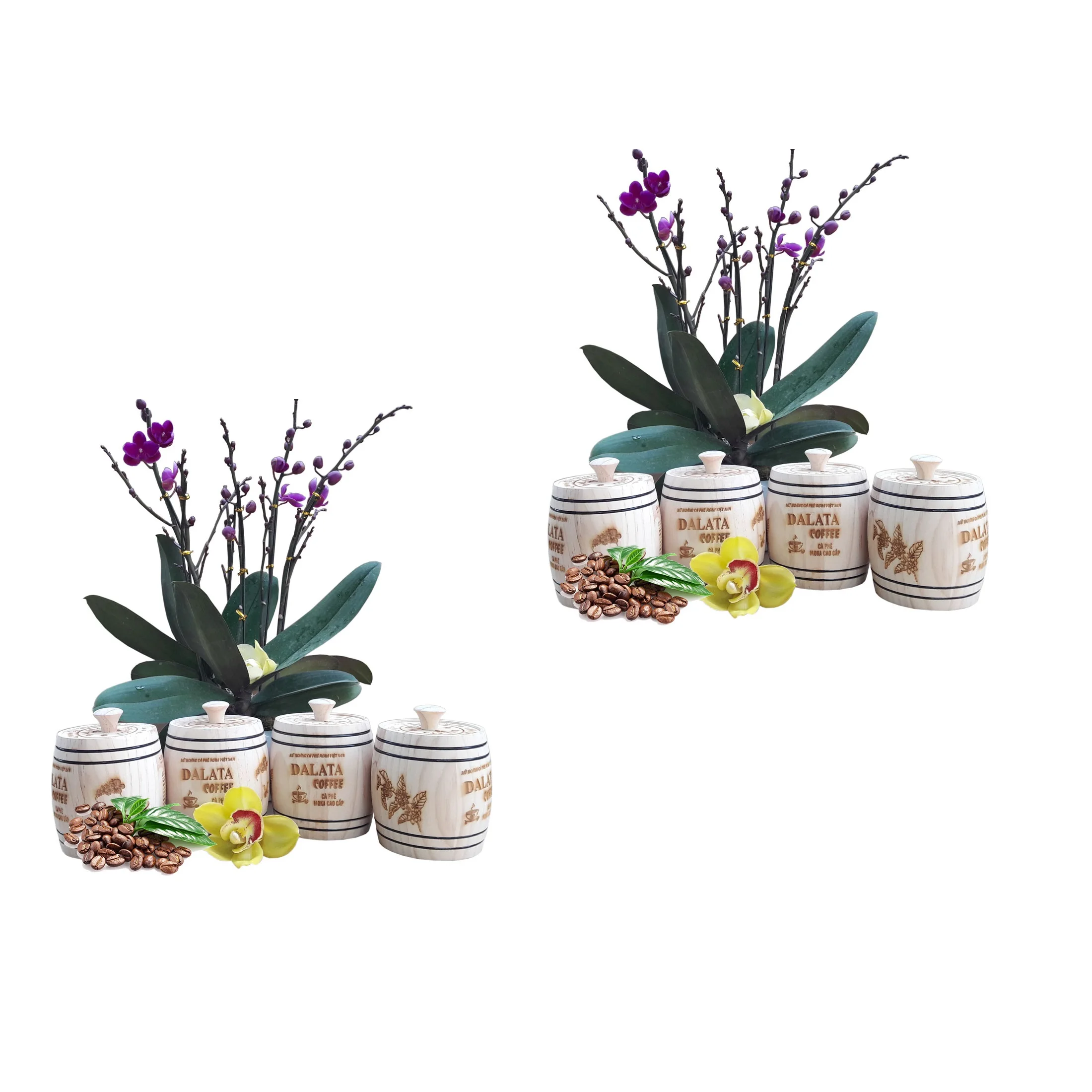 Organic Agriculture Products Coffee Made In Vietnam Box Of Powder 25% Brix Feature Box 250g Good For Health