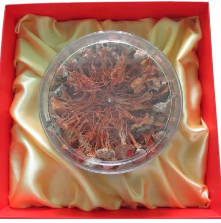 Manufacturer Dried Fungus Cultivated Cordyceps Militaris Subtainable Quality