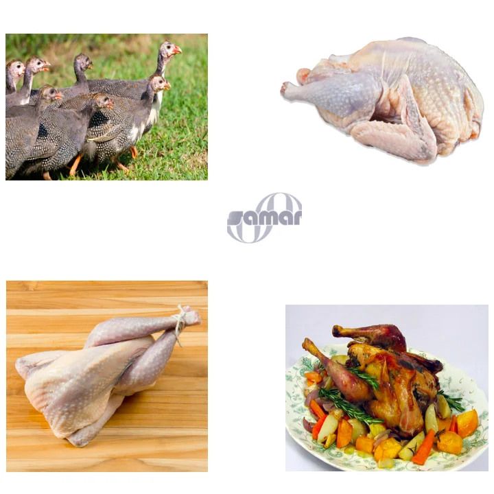 
 Замороженная морская курица (птицы), цельное, 6 шт./кор., 21 фунтов лёгкий нейлоновый трос Avg  