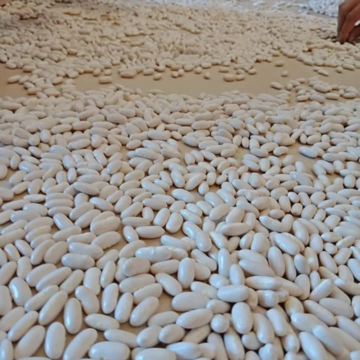 Dry Pinto Beans Or Light Speckled Kidney Beans Long Shape Or Round Ship Red Kidney Kenya Beans+/-+