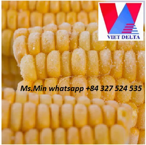 HIGH QUALITY AND BEST PRICE VIETNAM EXPORTING FROZEN BOILED SWEET CORN  / Ms.Min whatsapp (+84) 327 524 535