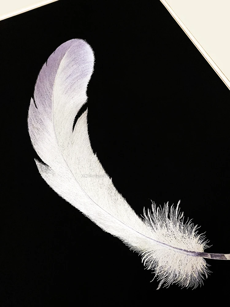 Feather Paintings Place Of The Paradise Still Life Hand Embroidery Artworks in Mordern Style