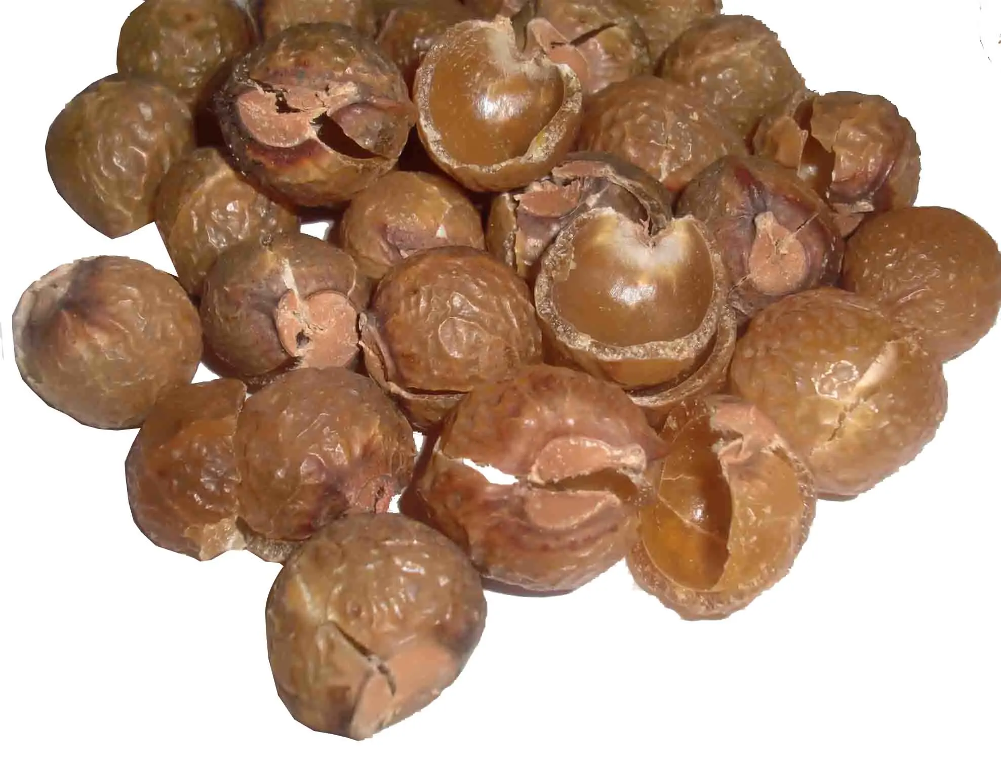 Organic Soapnuts, Soap nut, Organic Waschnuss