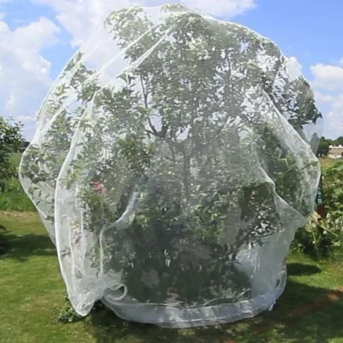 Plant netting prevent tree from insects, pests, birds, chickens fruit tree netting