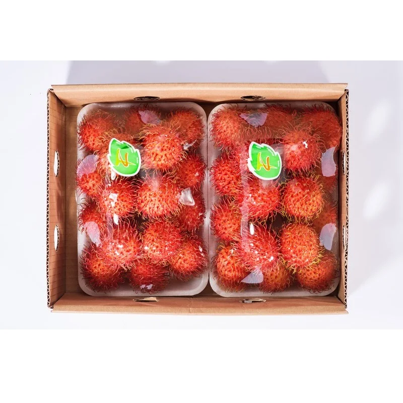 Hot Sale 28-35 Pieces/kg Common Cultivation Type Carton Box Packaging Sweet Taste Rambutan Export From Vietnam