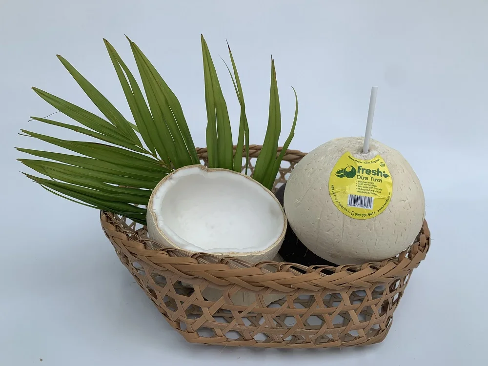 Vietnam Favourite Beverage Light Yellowish Young Coconut Organic Natural Fresh Convenient Coconut