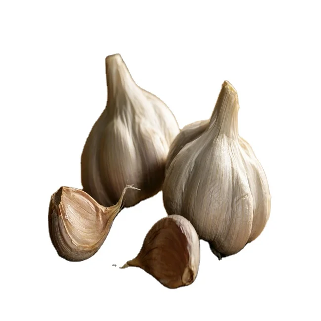 Indian Garlic Oleoresin at cheap price