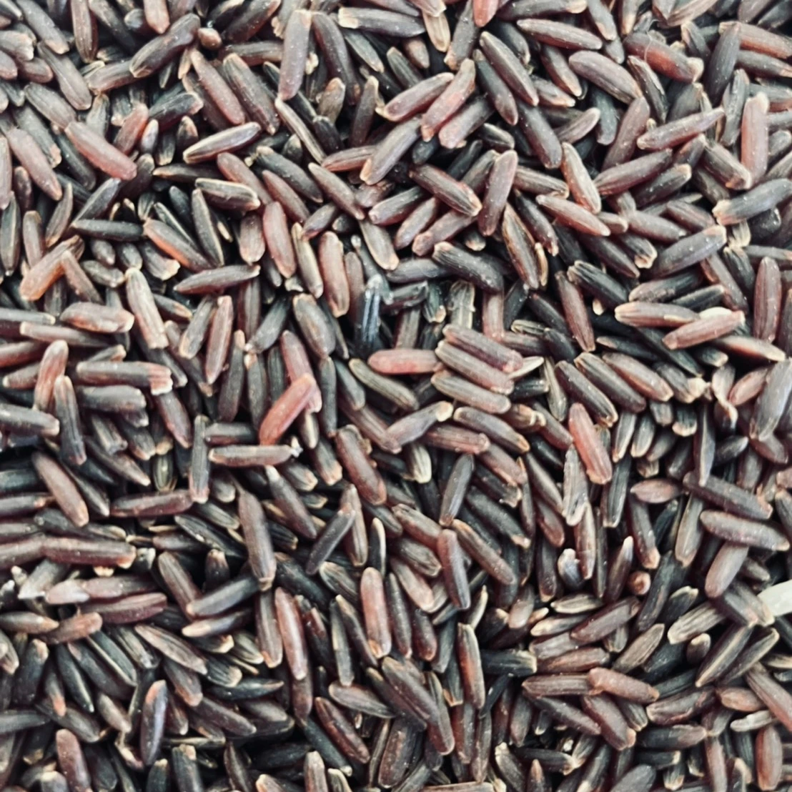 
Certified Organic Thai High Fiber Riceberry Rice Grain Premium Export Quality EU COR 5% Broken 