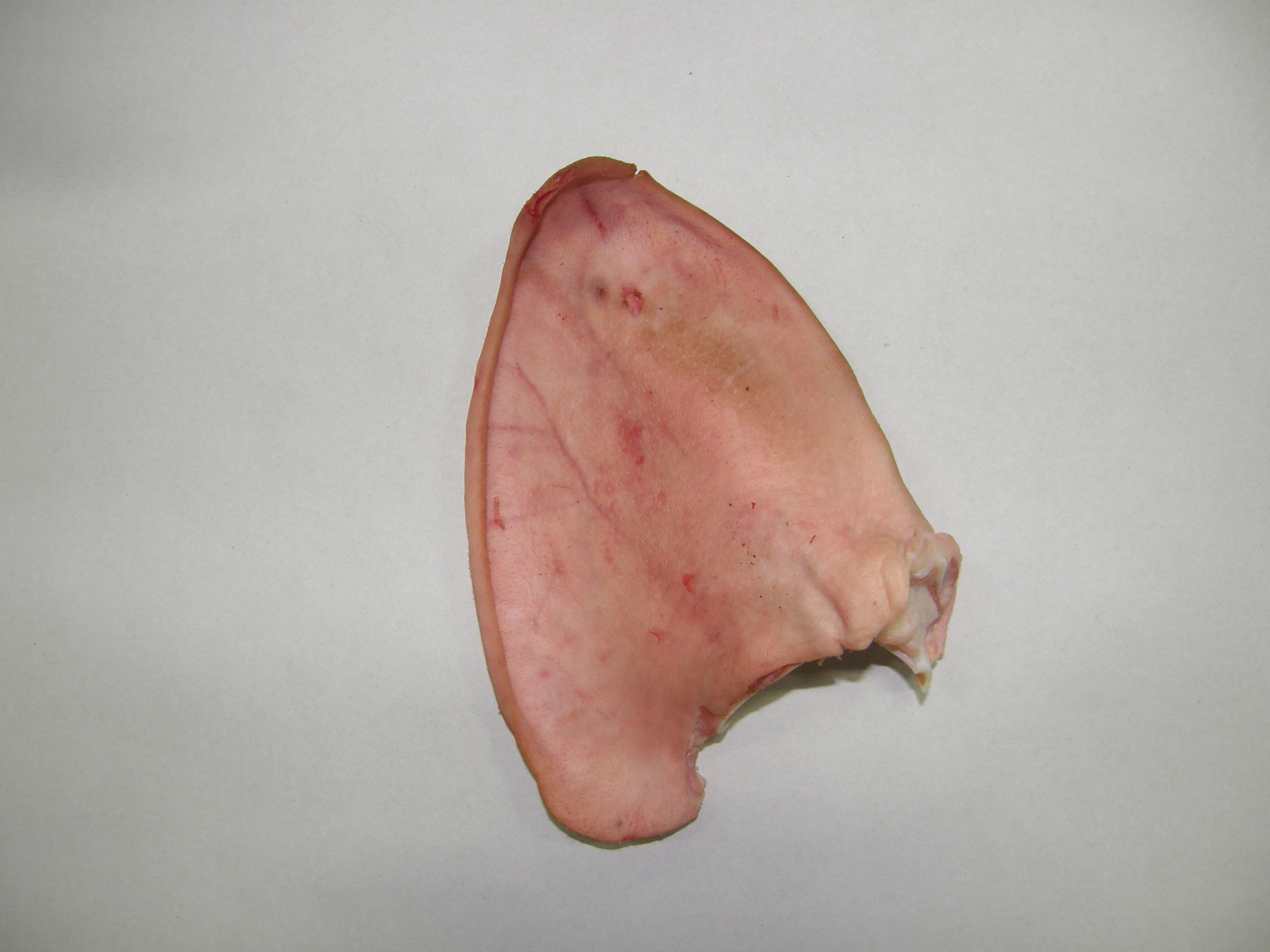 ORGANIC FRESH FROZEN PORK EAR MONTENEGRO ORIGIN PROCESSING FROZEN PORK EAR ORIGIN TYPE  MONTENEGRO PORK EAR  A GRADE 400-450G 20