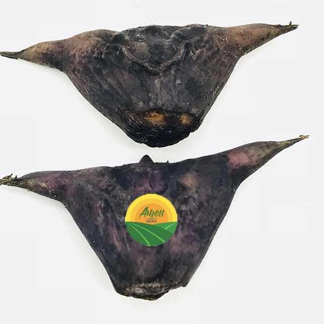 HIGH QUALITY WATER CALTROP FROM VIET NAM