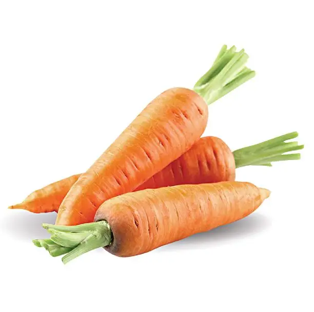 Fresh Carrots -  Customized Package Non-GMO Fresh Carrots from Viet Nam wholesale Whatsapp +84988667319