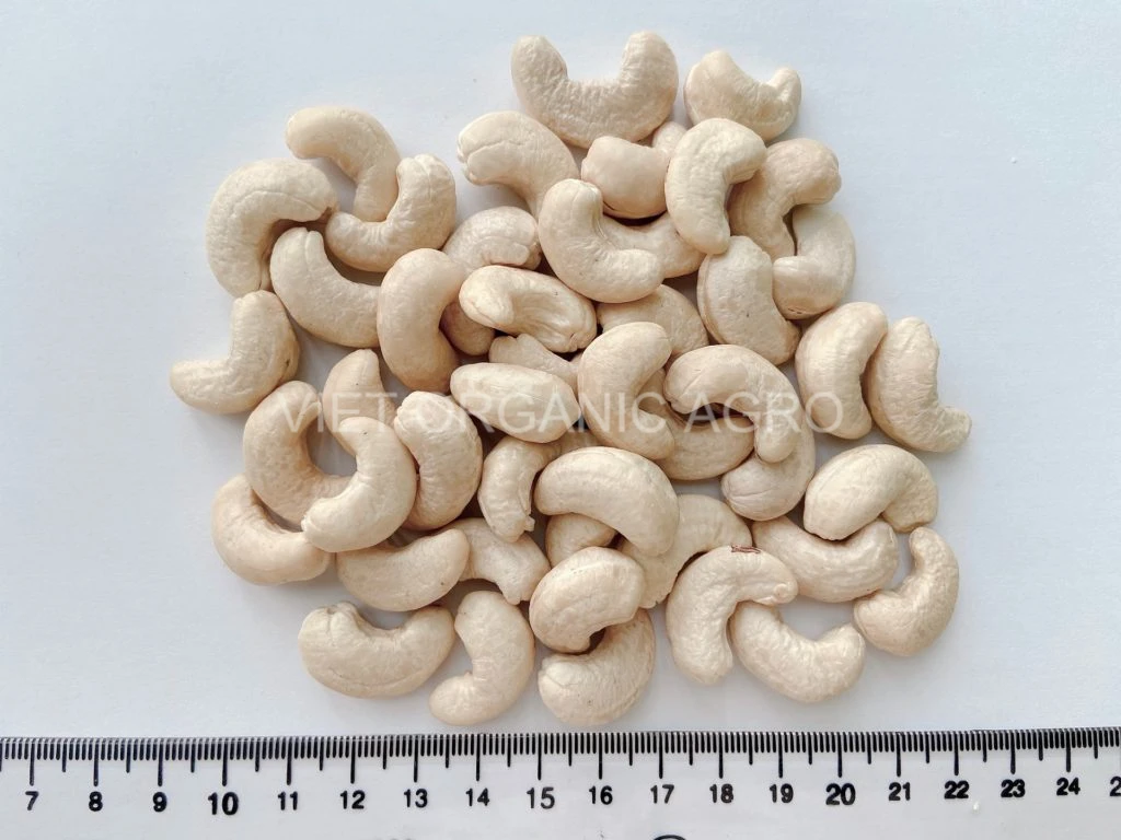 Vietnam supplier various types of cashew nut for wholesale - High quality  cashew kernel LP - Raw/ roasted cashew nuts