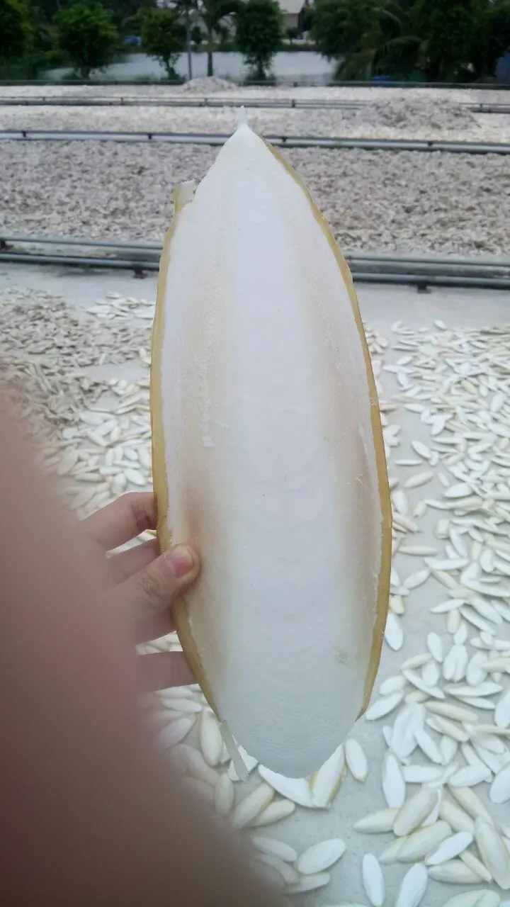 Лучшая цена на кости для корма птиц и лекарств