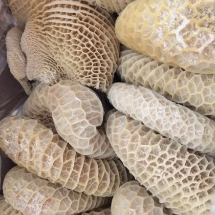 Frozen Beef Omasum, Beef stomach, Cow Stomach