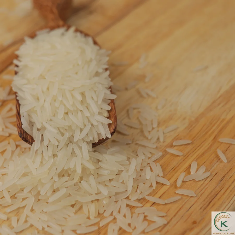 [Вьетнам] чистая зернистость риса st25 вкусный рис из Вьетнама хорошо фрезерованный