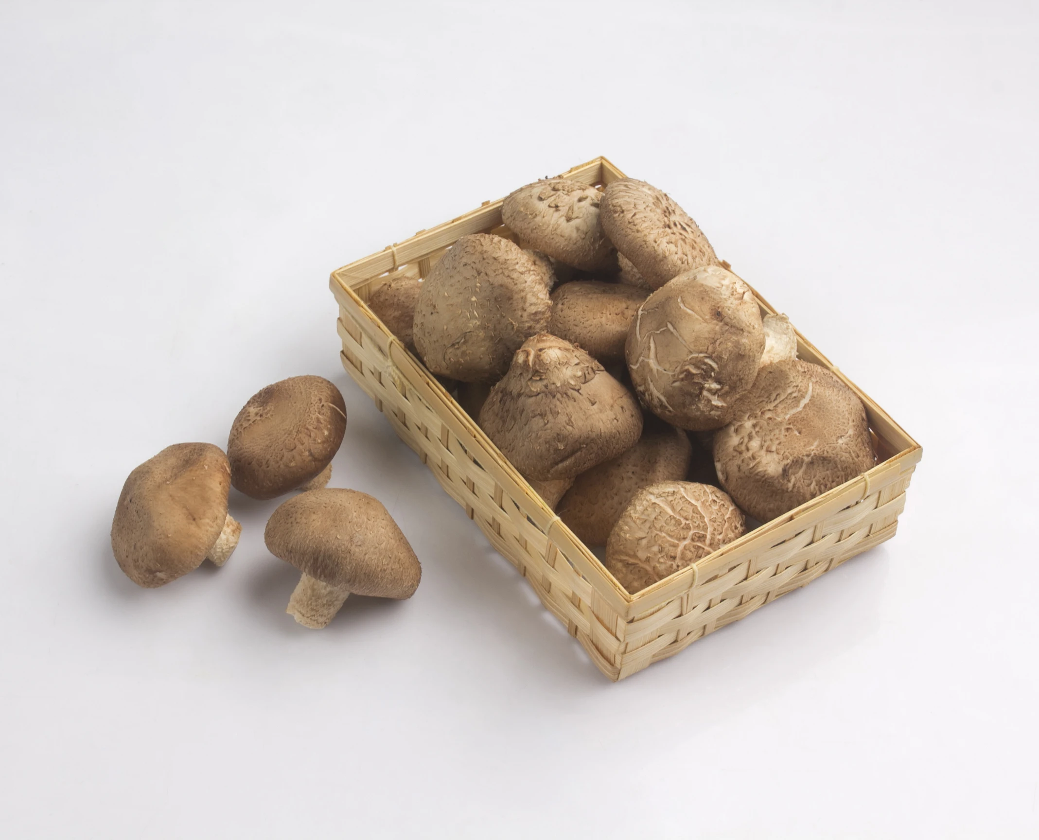 
Fresh Shiitake Mushroom Healthy Food Delicious Premium Quality foe Export 