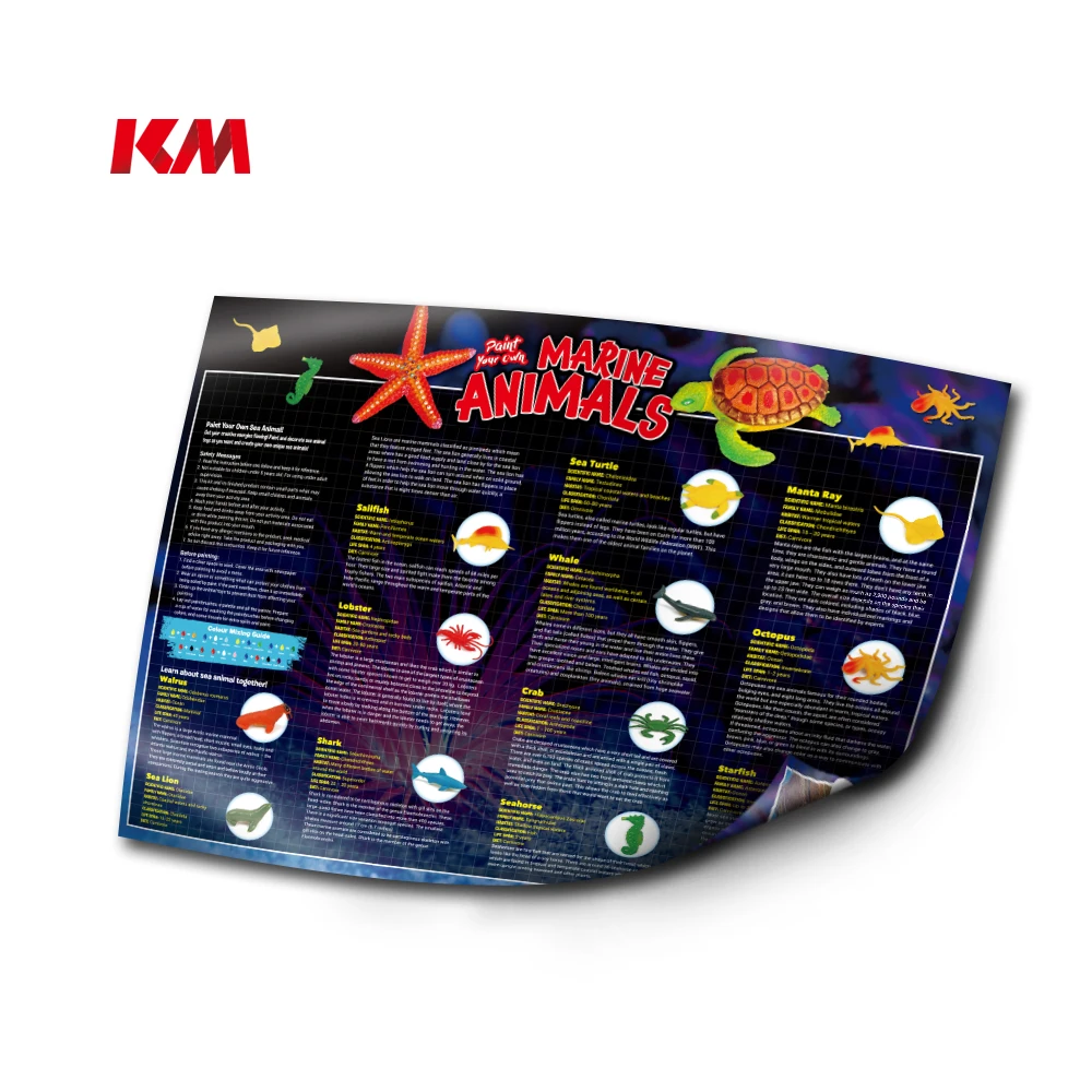 Hot Sell DIY Tool Painting Drawing Toys Arts Craft Handmade Marine Animals Kit STEM Educational Toys