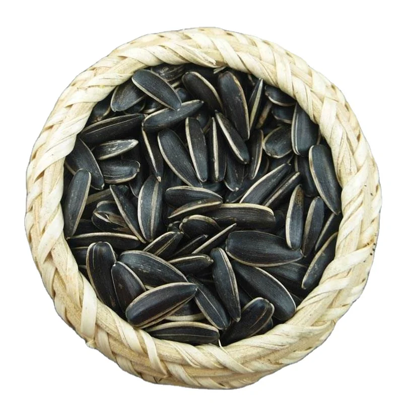 Wholesale Price Sunflower Seed Kernels Available for Sale Bulk Quantity