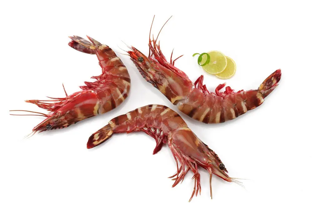 Fresh Peeled Deveined Tail Off Vannamei Shrimp Frozen Prawns Fresh Scientific Name Of Usa Whole Products
