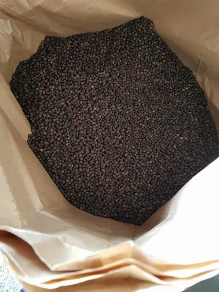 Good Black Pepper 100% Natural Processed in Vietnam From Phalco Brand