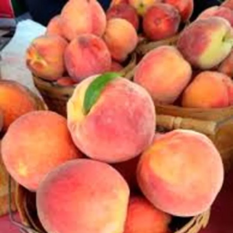 100 Натуральный Свежий персик, Лучшая цена, свежий персик