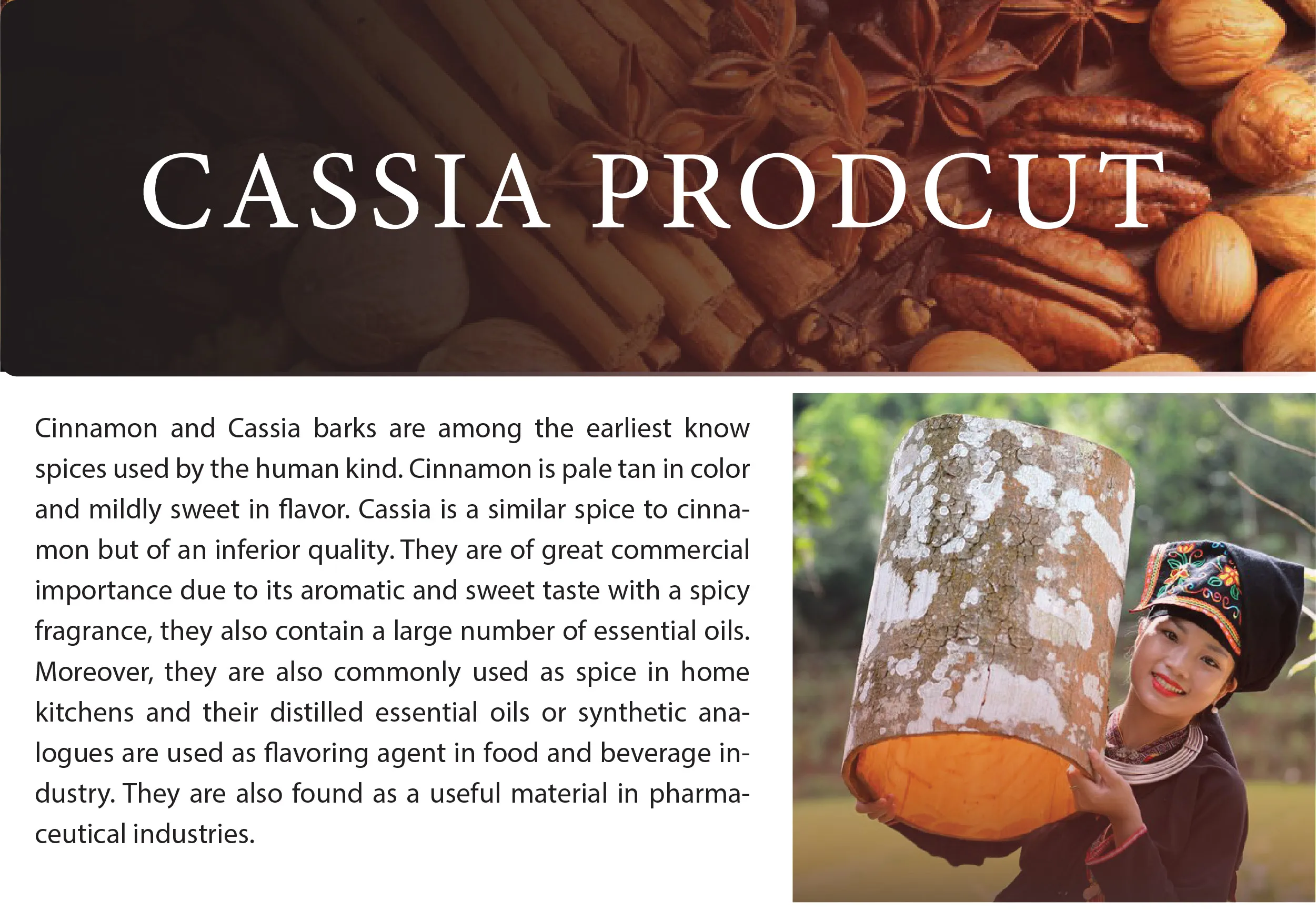 Оптовая продажа машина для производства экстракта коричного масла корица корицы цинамона сырье выпечки специй Упаковочная палочка производитель