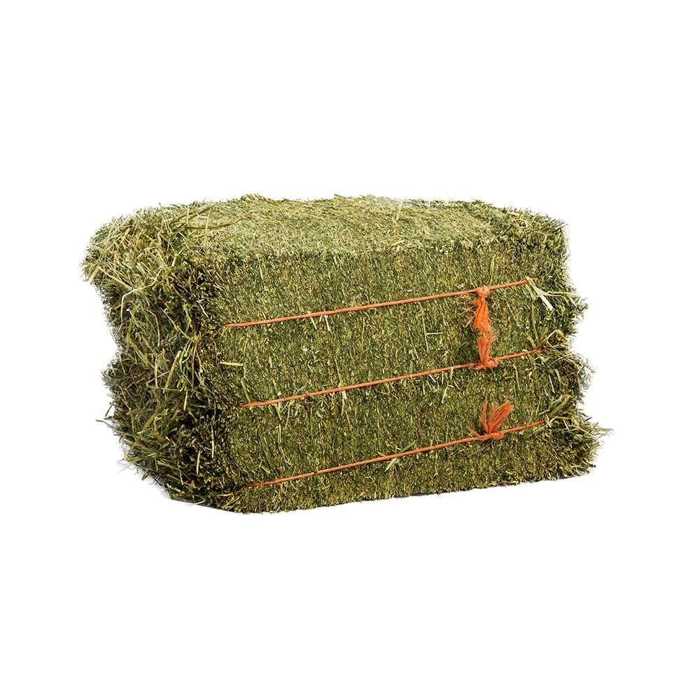 Premium Quality Alfalfa Hay Bales