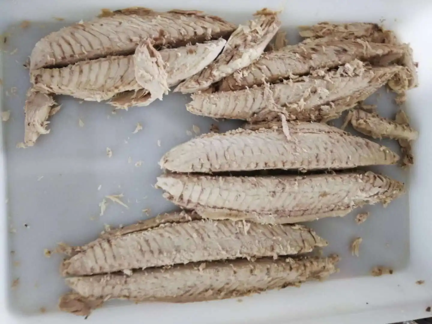 Precooked Skipjack Loin 2.JPG