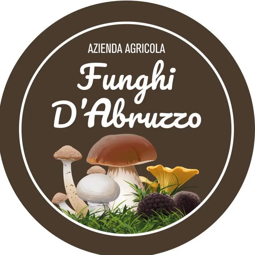 High Quality  champignon mushroom  300 gr  in oil in jar Made in Italy