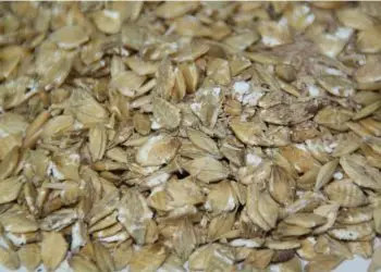  Совершенно новый ячмень (Flex) оптовая продажа продукта-белый цвет